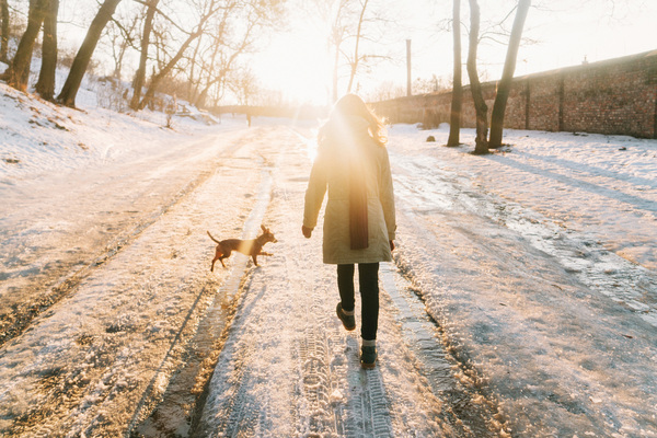 Koiran ulkoiluttaja valoisana talvipäivänä.